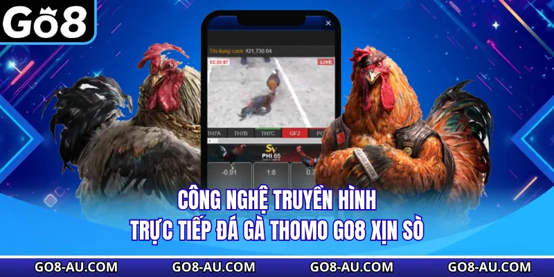 Công nghệ truyền hình trực tiếp đá gà Thomo xịn sò